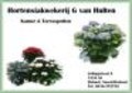 Hortensiakwekerij Van Hulten