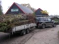 Visser Plant Boomkwekerij en Plantencentrum