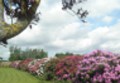 Rhododendroncentrum De Valouwe